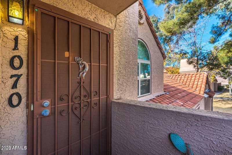 Security Door @ Front Door