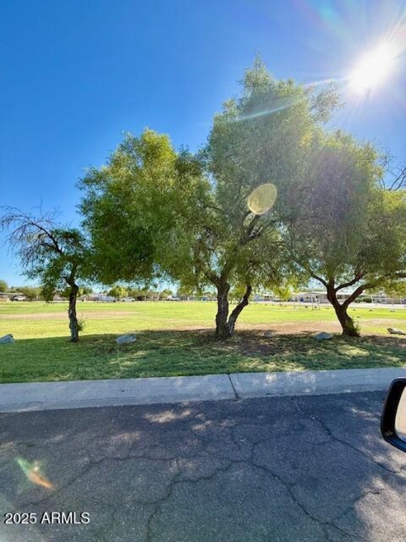 PARK
