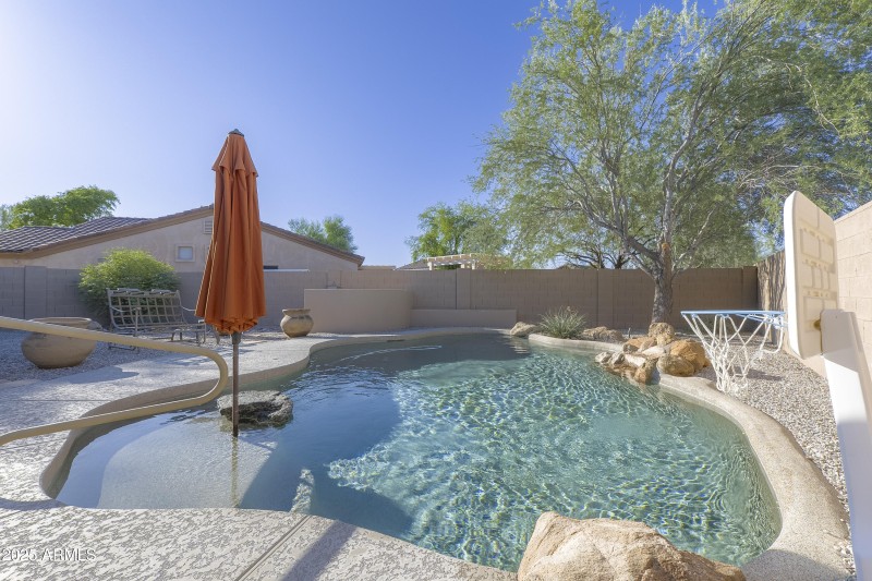 Backyard Pool