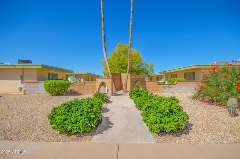 27 - Ocotillo