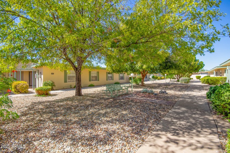 28 - Ocotillo