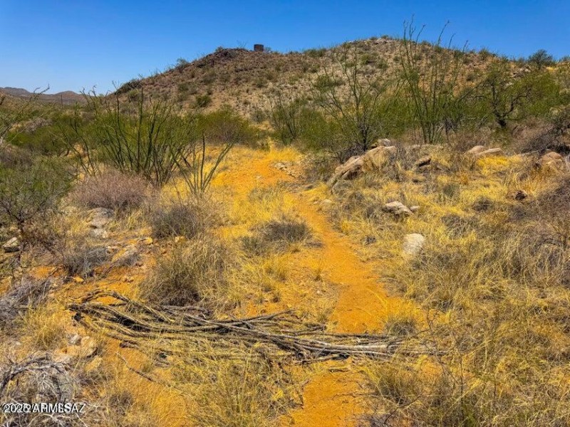 20251008062442627790000000-o