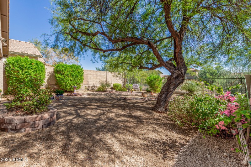 28 - Lewis and Clark