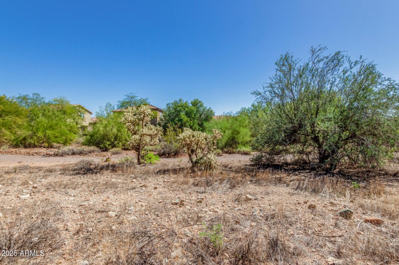 32 - Lewis and Clark