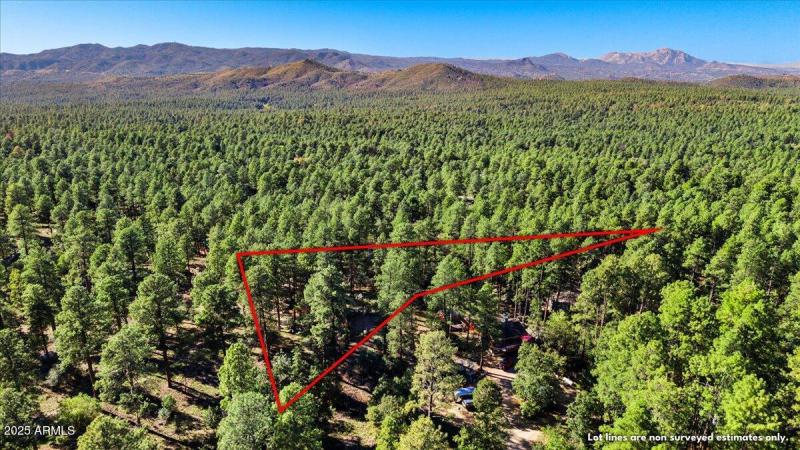 LOOKING TO THE NORTH