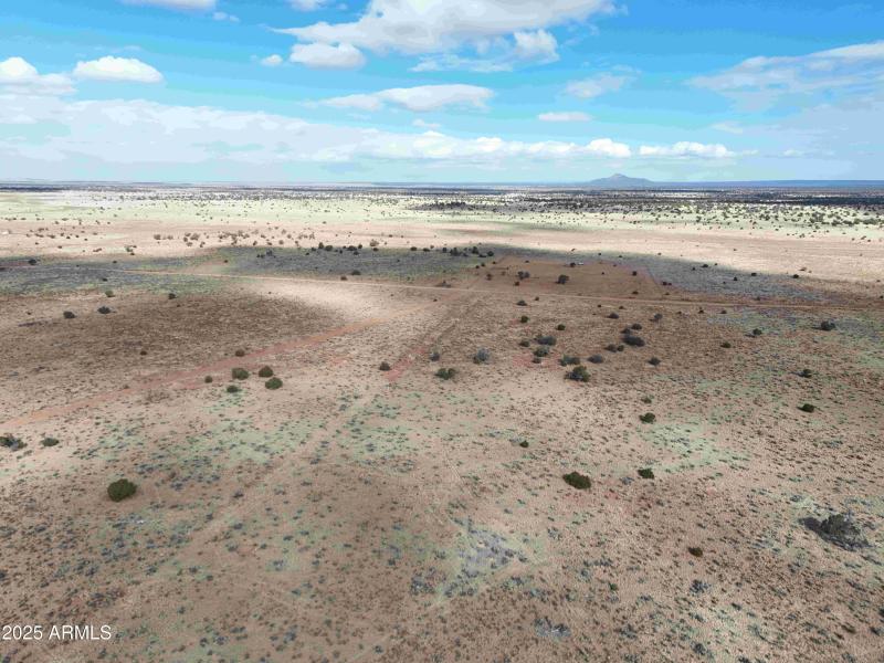 DJI_20250127110732_0981_D