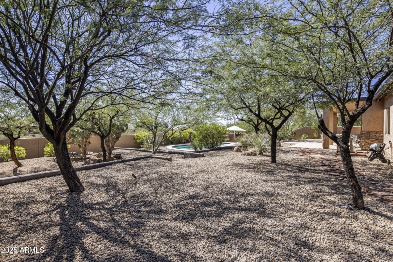 29-web-or-mls-D46A2908