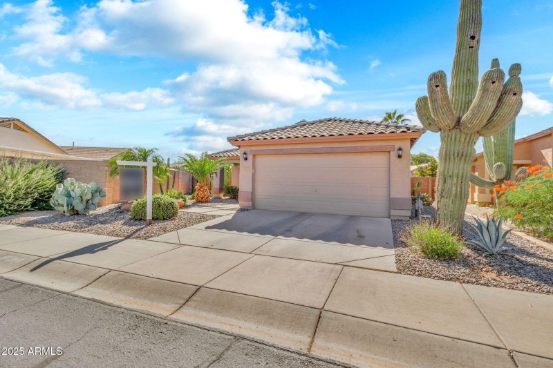 30178 N Coral Bean Dr-3