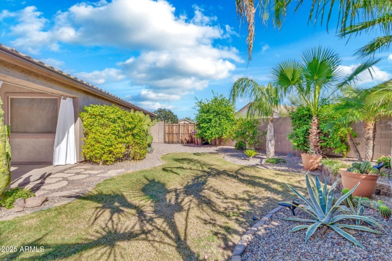 30178 N Coral Bean Dr-43