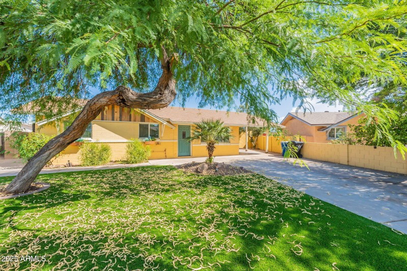 3-web-or-mls-Del Rio-3