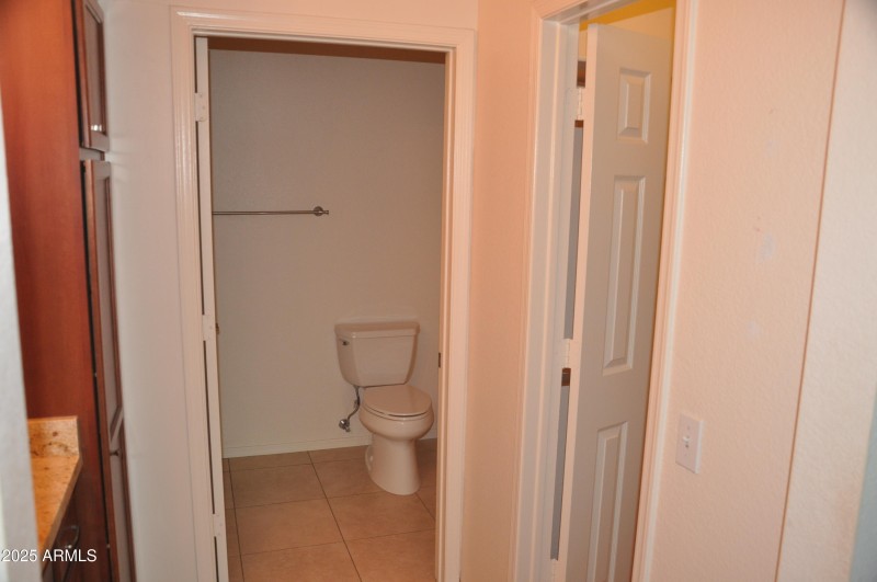 master bath toilet