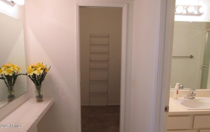 Primary BR dressing area