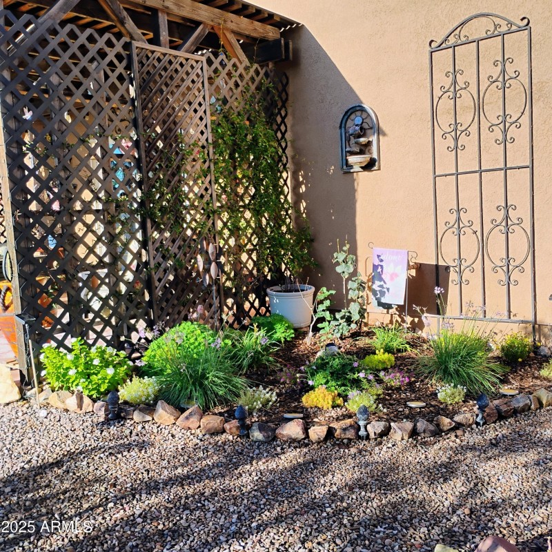 IMG_20250928_074325022_HDR_AE-scaled