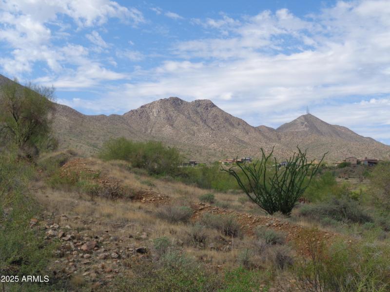 McDowell Mountains