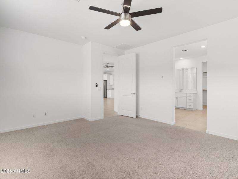 20-web-or-mls-Bee-20