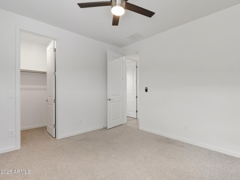 32-web-or-mls-Bee-32