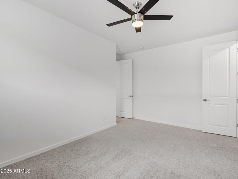 40-web-or-mls-Bee-40