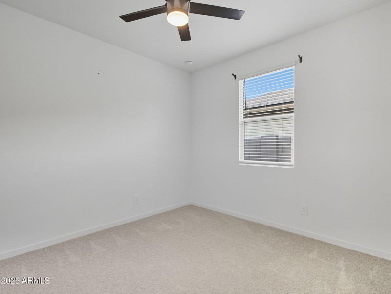 47-web-or-mls-Bee-47