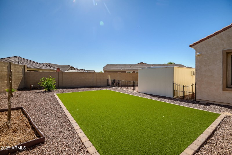 Backyard