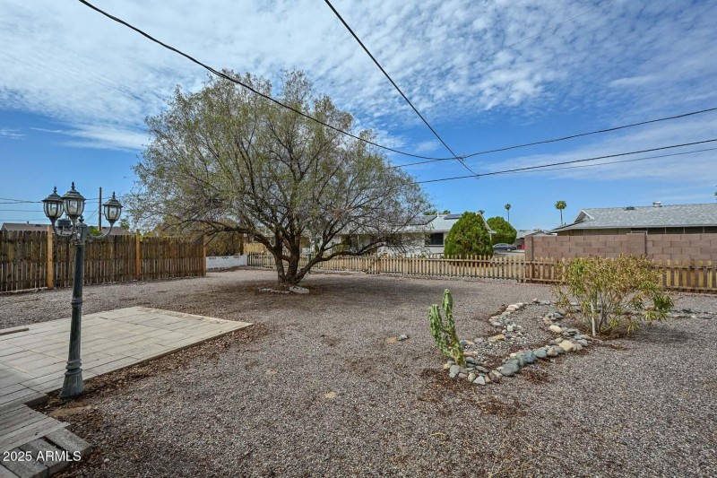Backyard3