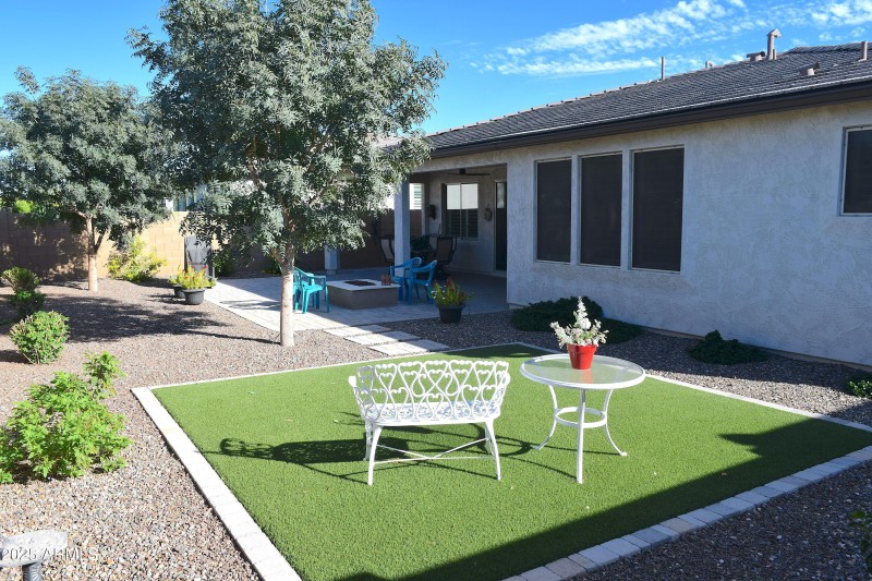 Backyard 1