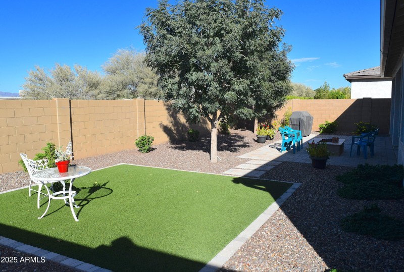 Backyard 5