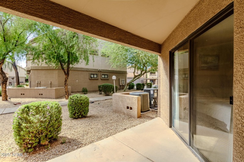 19 - Alma School