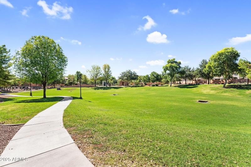 69-web-or-mls-DSC01865