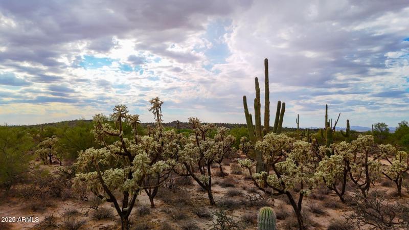 dji_fly_20251008_152658_0846_17600237954