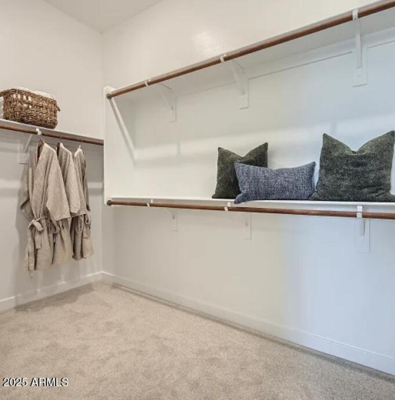 Owners Walk in Closet