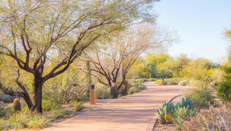 Path and Trail System 3