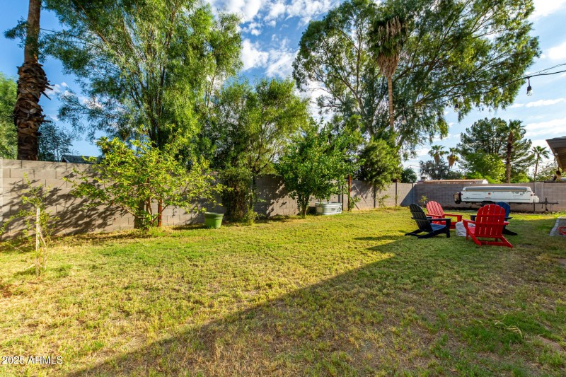 Numerous fruit trees