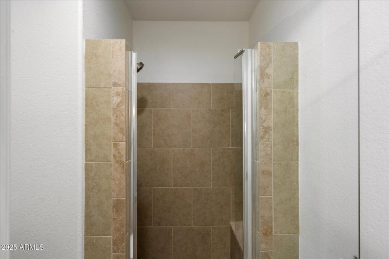 Primary Shower