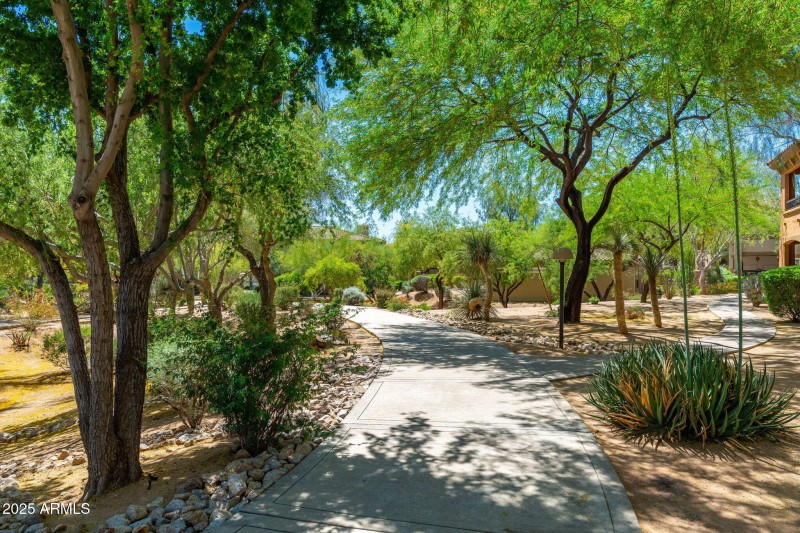 Village at Grayhawk - 11