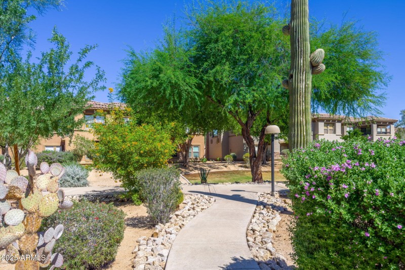 Village at Grayhawk - 15