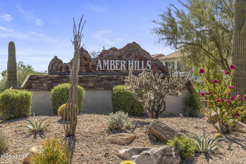 Amber Hills Community