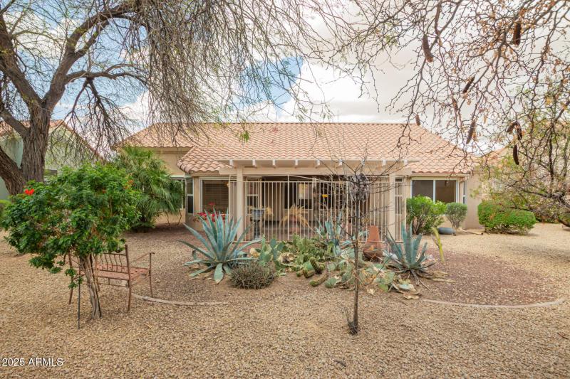 31 - Desperado 22319