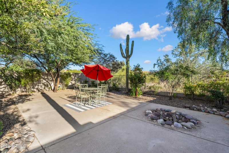 Iconic Saguaro