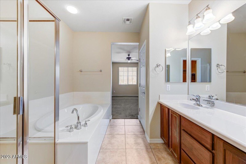 16-Primary Bathroom II