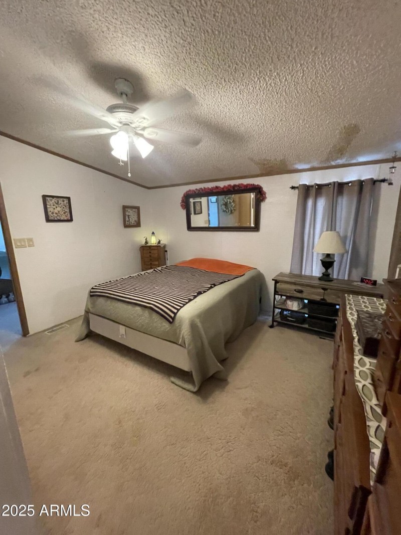 Photo Apr 19 2023, 4 49 29 PM