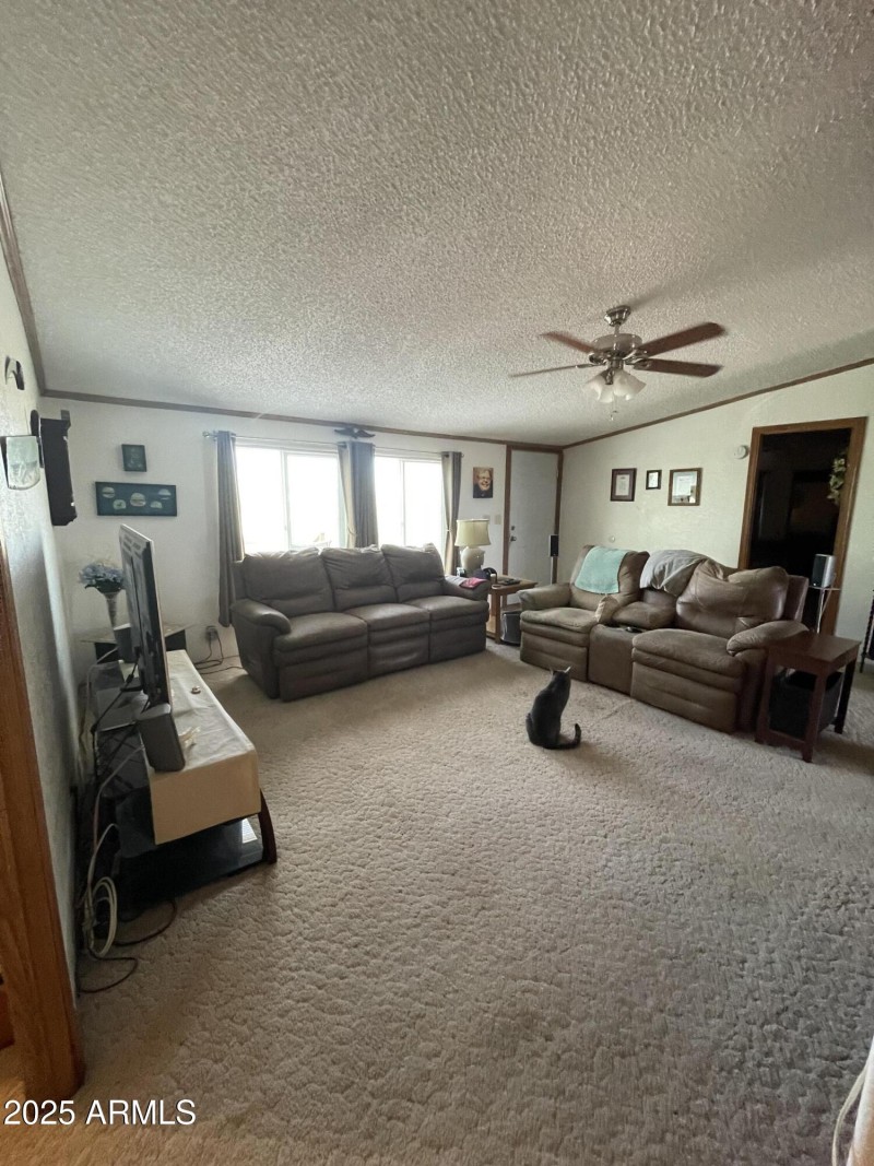 Photo Apr 19 2023, 4 50 39 PM