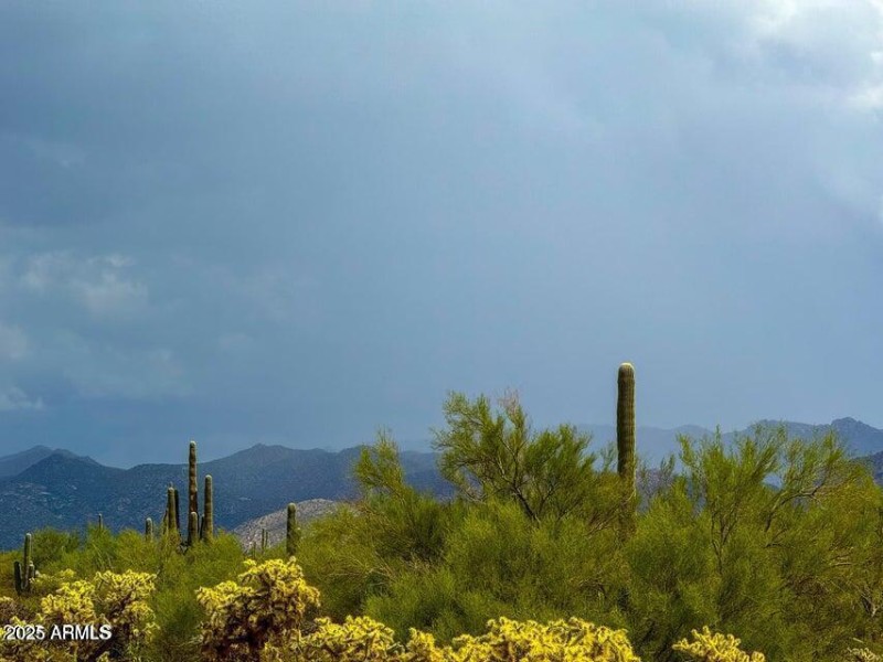 20251001064834683983000000-o