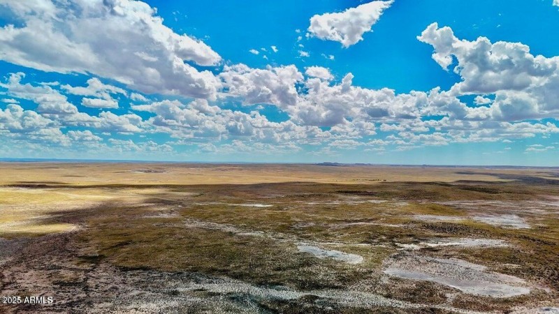 20250807072005155896000000-o