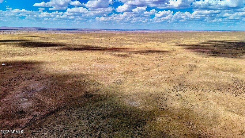 20250807072028008115000000-o