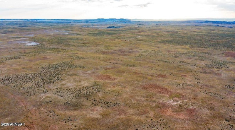 20250402055158523349000000-o