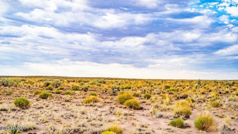 20250402055303762777000000-o