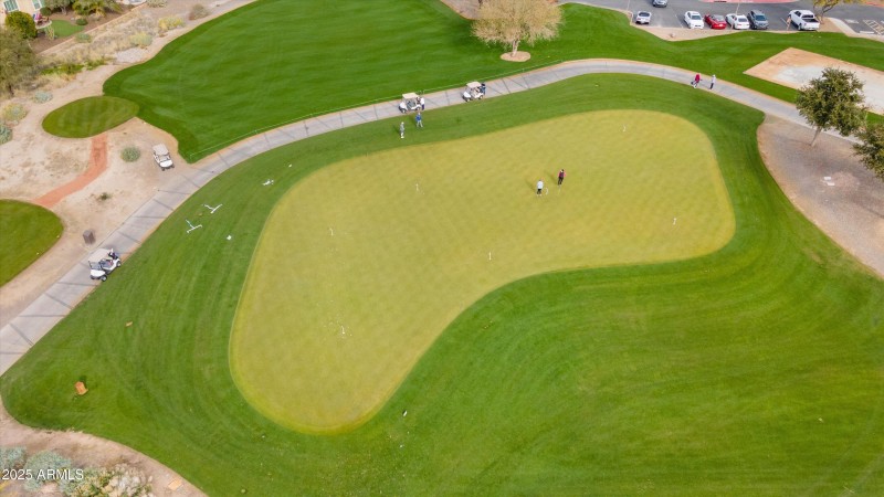 Putting Practice Green