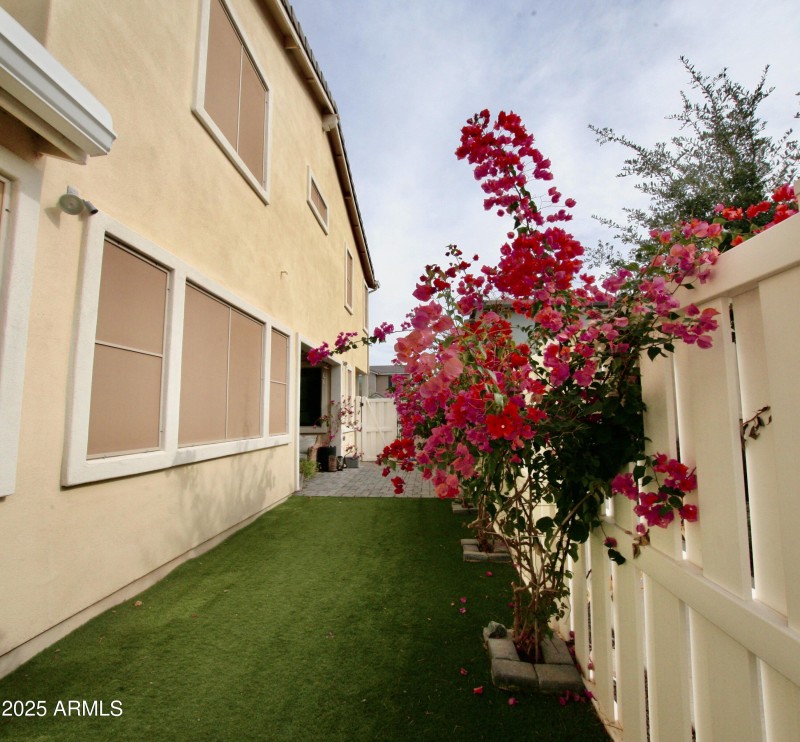 AE20AF89-125A-4D6D-8A9C-348E6C6E9399_1_2