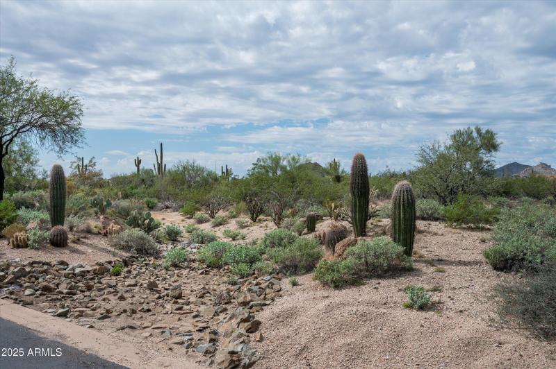 05-8580EArtisanPass-5