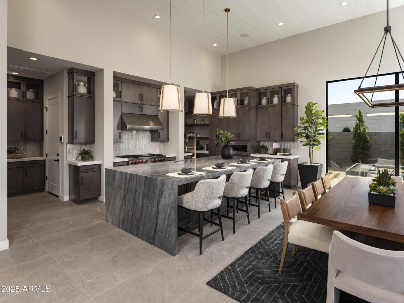 Merion_Grove_Desert_Sage_Kitchen_8768_co